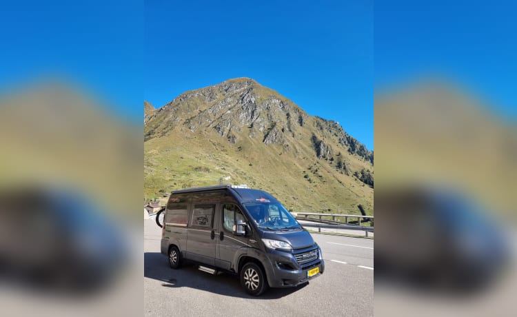 Malibu Van – Compact luxury Malibu bus camper with low bed!