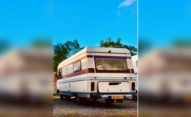 de Bruine Beer/Brownie – 4p Hymer integrated from 1983