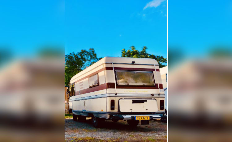 de Bruine Beer/Brownie – Mercedes Hymer integrated uit 1983 