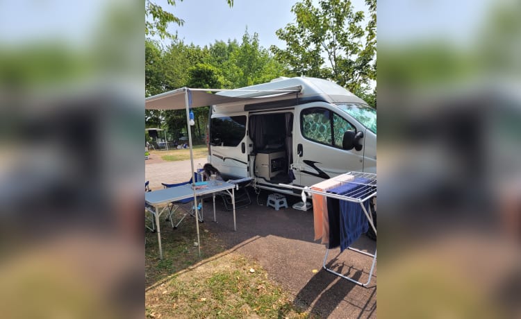 De Prinses – Camping-car Renault pour 2 personnes, peut entrer dans n'importe quelle ville et s'adapte toujours.