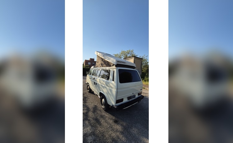 DANDY – VW T3 MITO SENZA TEMPO