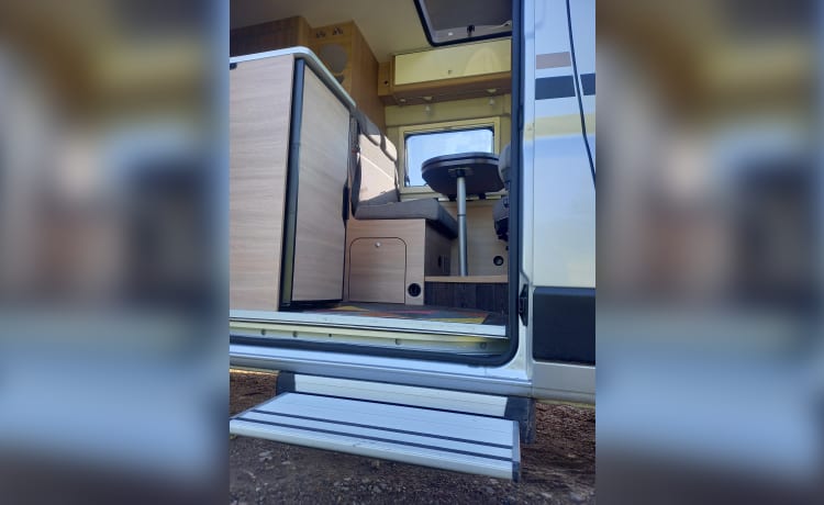 Bus camper 4p automatico dal 2021