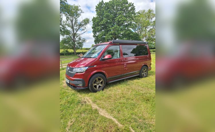 Boris – VW transporter 6.1 