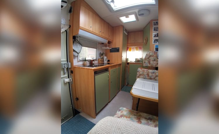 Compacte, gezellige Fiat alkoof camper