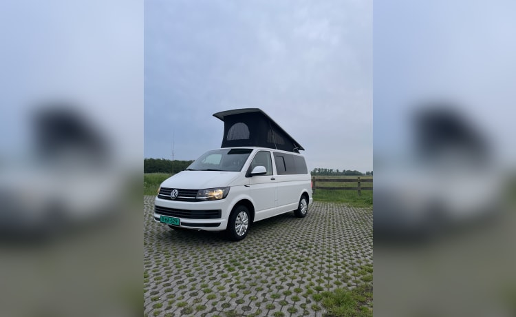 Volkswagen campervan uit 2018 inbouw 2024