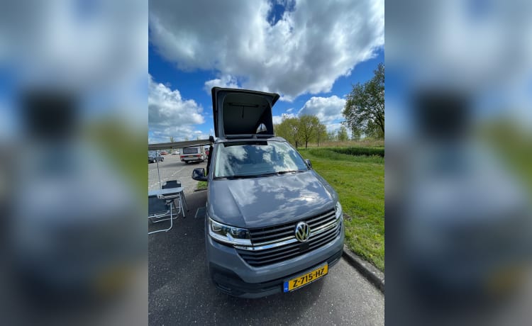 NIEUWE VW California. Zorgeloos op vakantie. Prachtige compacte bus.