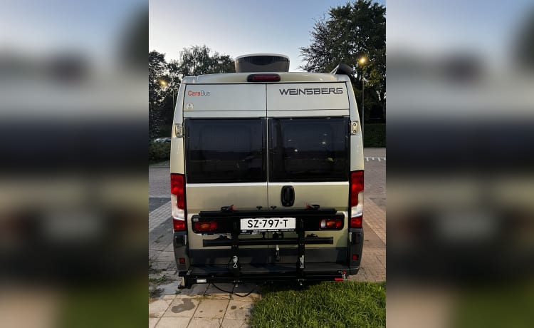 4er-Fiat-Bus aus dem Jahr 2018