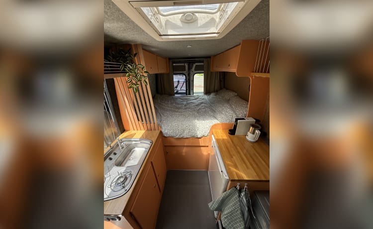 Fifi – Fiat Ducato camperbus (2 a 3 personen)