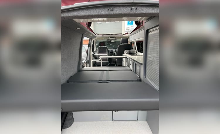 Carpe Diem – Carpe Diem in Warrington High Spec VW LWB Camper