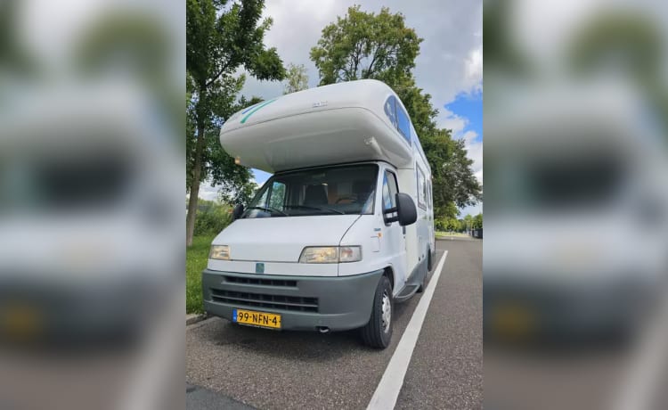 Camper mansardato Fiat 4 posti