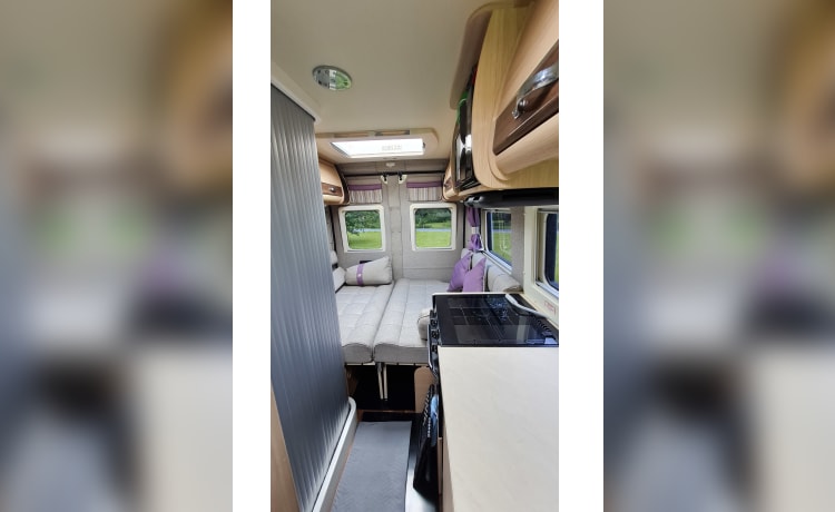 Fairy – Auto-Sleepers-Bus mit 4 Schlafplätzen ab 2016