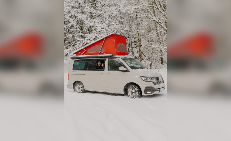 Camper Volkswagen a 4 posti letto dal 2021