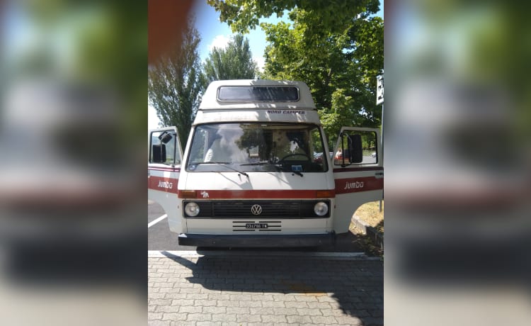 VanNino – Volkswagen? VanNino!