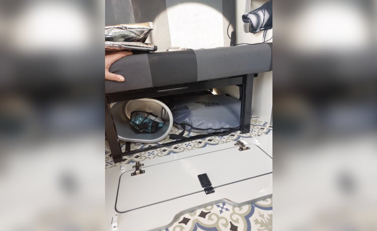Alegria – 4p Volkswagen campervan from 2018