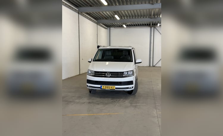 Cali  – Volkswagen California T6 (camper di fabbrica, originale)