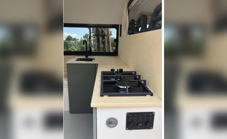 Billy – Op avontuur met onze omgebouwde camperbus (Fiat Ducato 2013 3p)