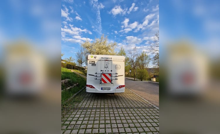 WöffTöff  – Wohnmobil mieten mit Hund oder auch ohne