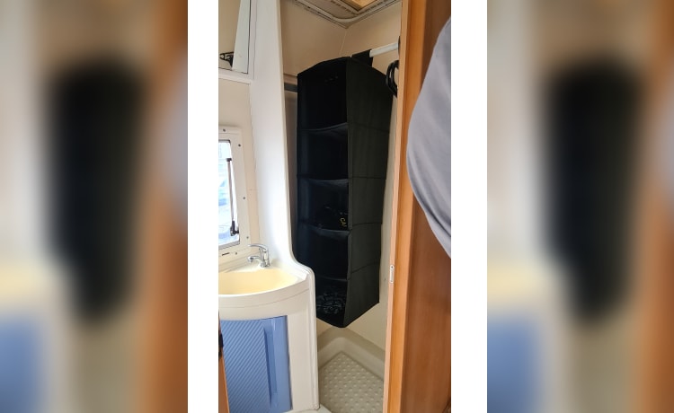 Grote Beer – 7p Chausson alkoofcamper uit 2002