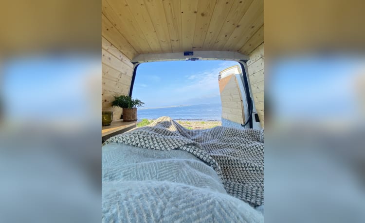 Olive – Camper Fiat 3 posti letto del 2005