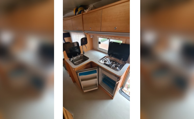 Grote Beer – 7p Chausson alkoofcamper uit 2002