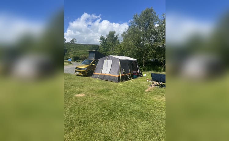 Goldbug – Camping-car Volkswagen 4 places de 2019