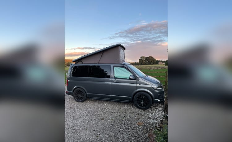 T6 Travis – Volkswagen T6 Transporter-Wohnmobil mit 4 Schlafplätzen, Baujahr 2019