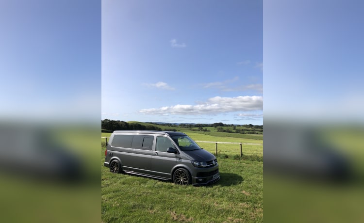 Coop – 4-persoons Volkswagen campervan uit 2019