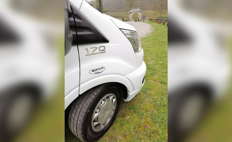 Ford s-integrated (neu) - ♥ - 5p - Wintercamper + kostenloses WLAN