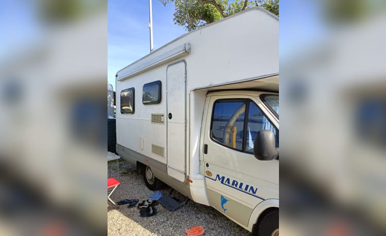 Marlin 57 – Permis camping-car capucine B