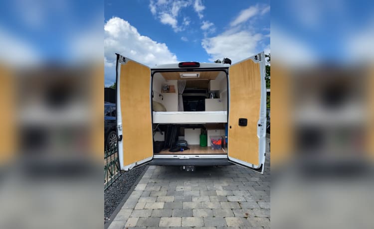 Pura Vida Van – 3-person bus camper built in 2023