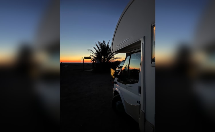 Matiax98 – Ford Transit Attic Camper Rental 