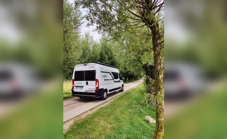 Berlin – The compact panel van with 4 sleeping places