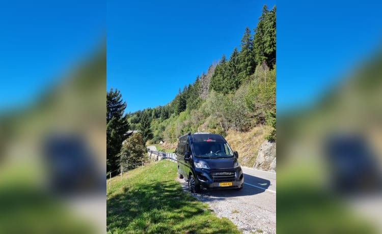 Malibu Van – Kompakter Luxus Malibu Bus Camper mit niedrigem Bett!