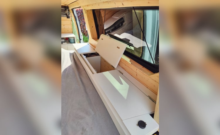 Auto-construction : Ford Transit Custom 2p - ultra cosy