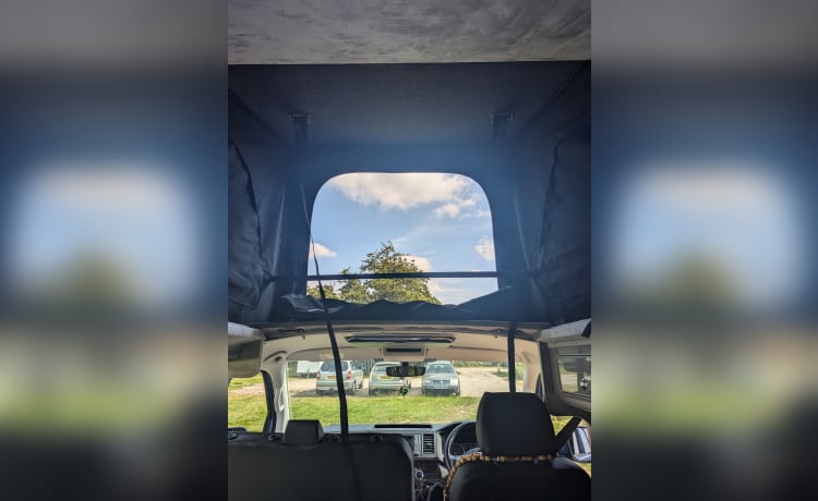 Smurf – 4 berth Volkswagen campervan from 2019