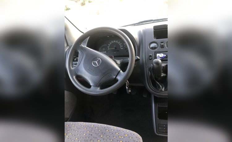 Dani – Bestelwagen Mercedes Vito 220cdi