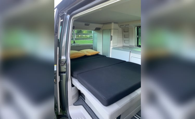 Hotel California – Volkswagen California 4p automaat