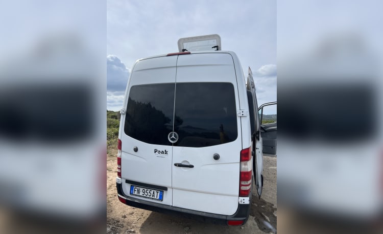 Sprinterone  – Van Mercedes Sprinter 