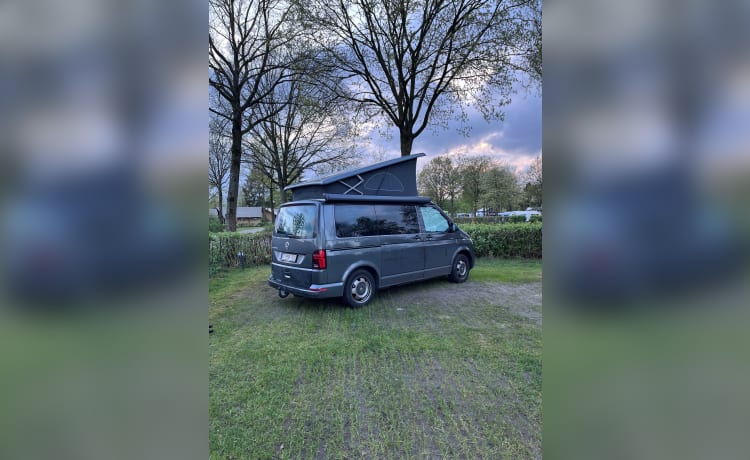 Zwitsers zakmes – 5p Volkswagen campervan uit 2023 (automaat)