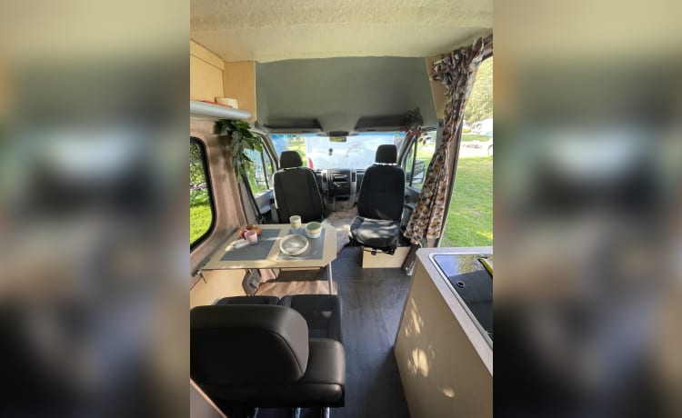 Ad – Charmanter netzunabhängiger Mercedes Sprinter aus dem Jahr 2010