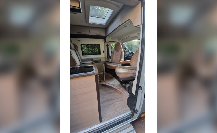 Camino – Sportlicher Campervan (2 Personen), bereit für Abenteuer