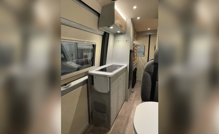 Hymer Free S 600