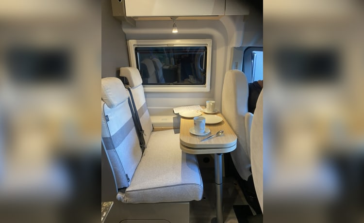 Nieuwe Camperbus Grey Matter – Camping-car FORD LMC Innovan 590 à partir de 2024 Nanogris