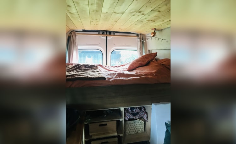 Koosje – 2p Renault campervan uit 2004