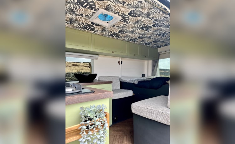 Murphy – The Big Green Camper