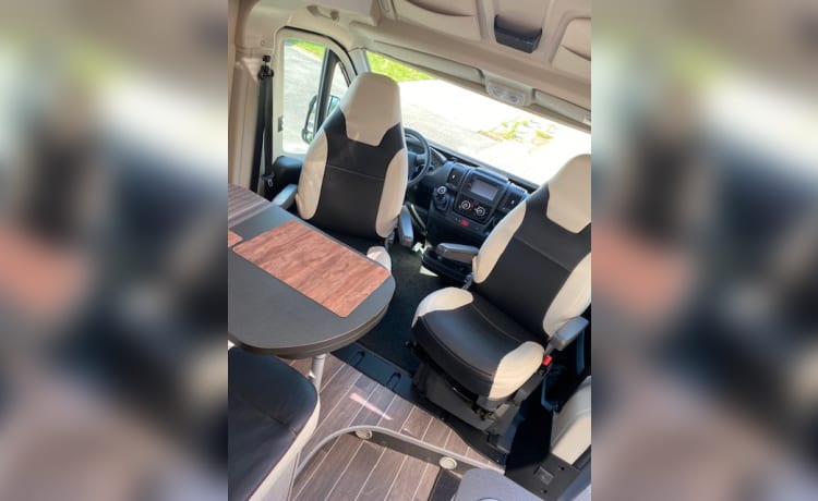 LIVINGSTONE – 4er-Fiat-Bus von 2019