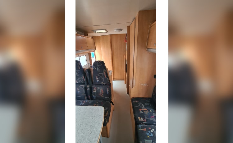 Grote Beer – 7p Chausson alkoofcamper uit 2002