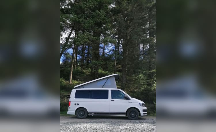 STEFAN – 4 berth Volkswagen campervan from 2018