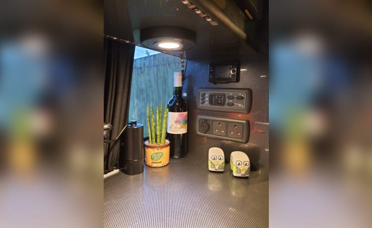 STEFAN – 4 berth Volkswagen campervan from 2018