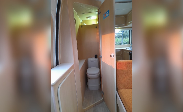 Time out – Fiat 'Safari' camper voor 2 personen